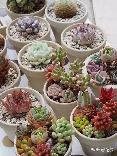 花艺与生活论文，花艺艺术｜干货：花艺大师鲜花保养秘诀，爱花的你快来收藏吧！