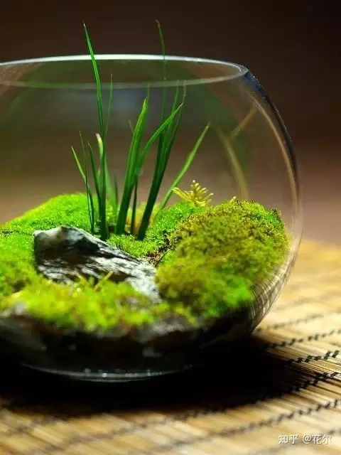 花艺与生活论文，花艺艺术｜干货：花艺大师鲜花保养秘诀，爱花的你快来收藏吧！