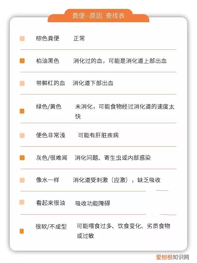 猫腹泻是什么原因 先从猫的消化系统了解开始！