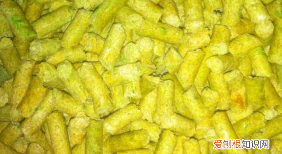 猫屎太臭了怎么办 是你清理猫砂的方式有问题！