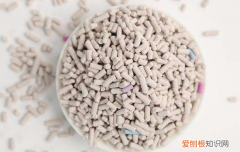 猫屎太臭了怎么办 是你清理猫砂的方式有问题！