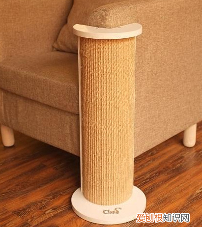 猫抓板是什么材质 猫抓板什么材质耐用,猫抓板什么材质对猫有用,什么材质的猫抓板好