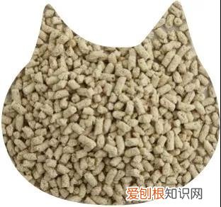 哪种猫砂好 各猫砂的优劣对比