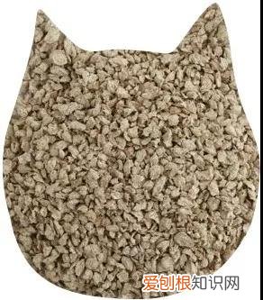 哪种猫砂好 各猫砂的优劣对比