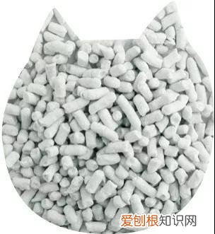 哪种猫砂好 各猫砂的优劣对比