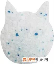哪种猫砂好 各猫砂的优劣对比