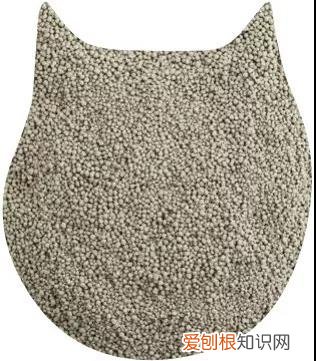 哪种猫砂好 各猫砂的优劣对比