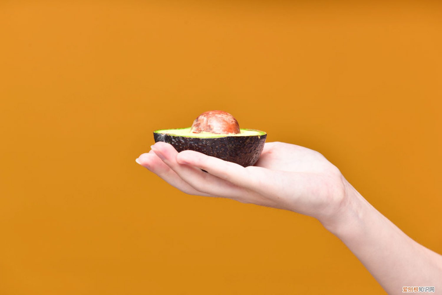 牛油果要怎么挑 牛油果怎么挑,牛油果怎么切
