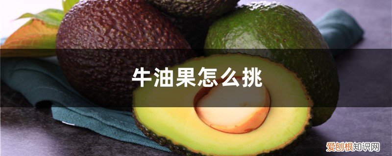 牛油果要怎么挑 牛油果怎么挑,牛油果怎么切