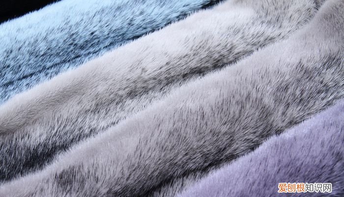 兔毛皮草怎么洗 兔毛皮草分辨真假方法