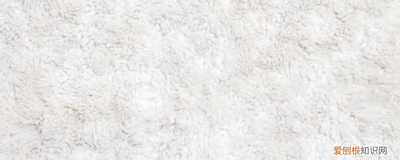 兔毛皮草怎么洗 兔毛皮草分辨真假方法