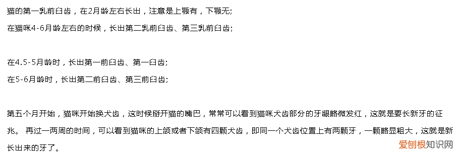 猫咪换牙什么样子 猫换完牙是什么样子