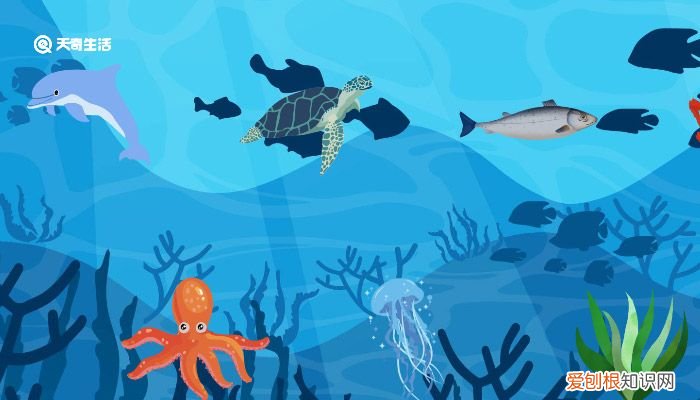 电影深海什么时候上映 讲述什么故事