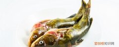 黄颡鱼怎么养 黄颡鱼养殖技术