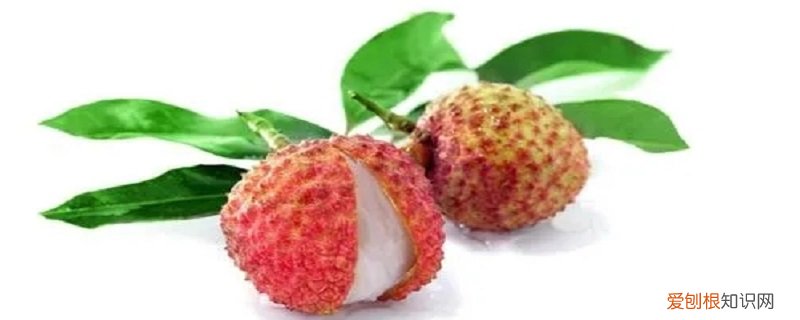 红色的水果有哪些 红色的水果是什么果