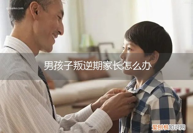 男孩子在叛逆期的时候家长应该怎样做 男孩子叛逆期家长怎么办