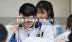 13岁小孩不听话怎么办 13岁孩子不听话怎么办