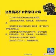 小孩被泰迪狗咬流血了怎么办 如何预防狂犬病？