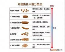 狗狗拉稀是什么原因？ 一篇文章讲透狗狗拉稀！