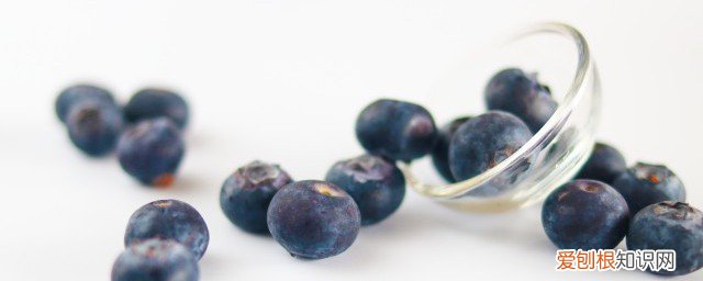 蓝莓可以放冰箱吗 蓝莓的保存方法