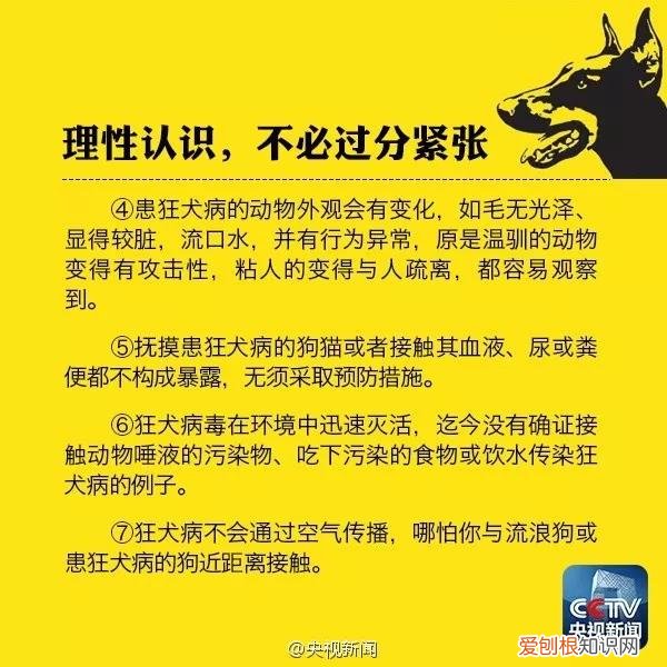 感染狂犬病的3个条件 正确认识不必恐慌!