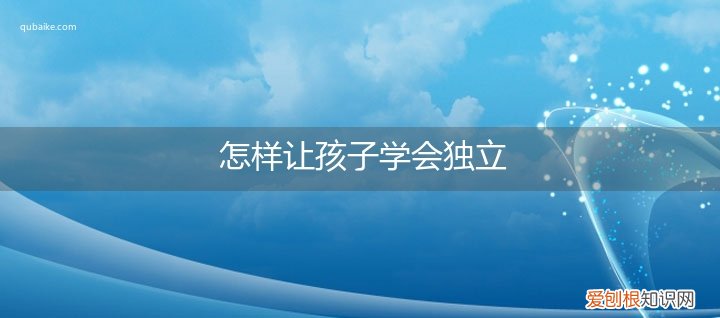 怎样使孩子独立 怎样让孩子学会独立