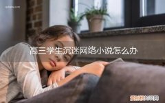 高三学生沉迷网络小说怎么办呢 高三学生沉迷网络小说怎么办