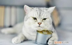 比较好的国产猫粮品牌 国产猫粮品牌,国产猫粮品牌排行榜,国产猫粮品牌推荐