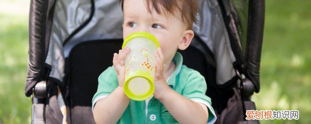 宝宝吸管水杯怎么选择 宝宝吸管水杯如何挑选