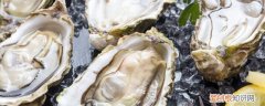 新鲜的牡蛎怎么保存 如何正确存放牡蛎