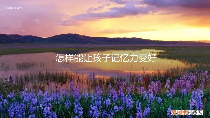 怎么才能让孩子记忆力好 怎样能让孩子记忆力变好