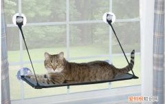 衣架自制猫咪吊床 衣架自制猫吊床,自制猫吊床简单,如何自制猫吊床