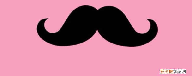 尖尖的胡子像沙子对吗