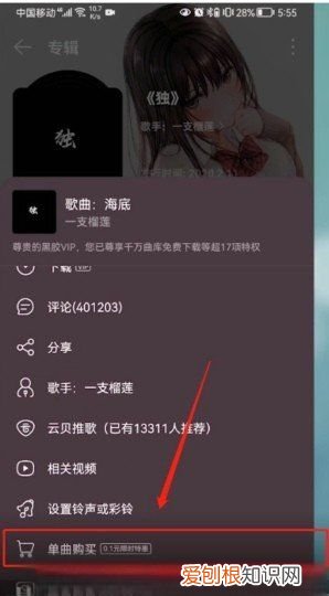 网易云该如何购买单曲，《网易云音乐》专辑单曲购买方法是什么