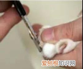 要怎样给猫剪指甲 怎么给猫剪指甲剪到哪,怎么给猫剪指甲剪多少,自己怎么给猫剪指甲