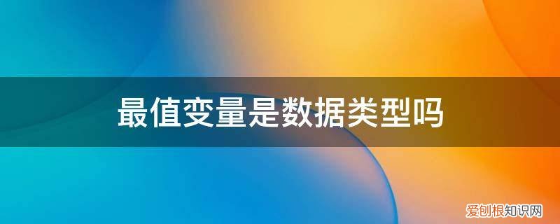 最值变量是数据类型吗为什么 最值变量是数据类型吗