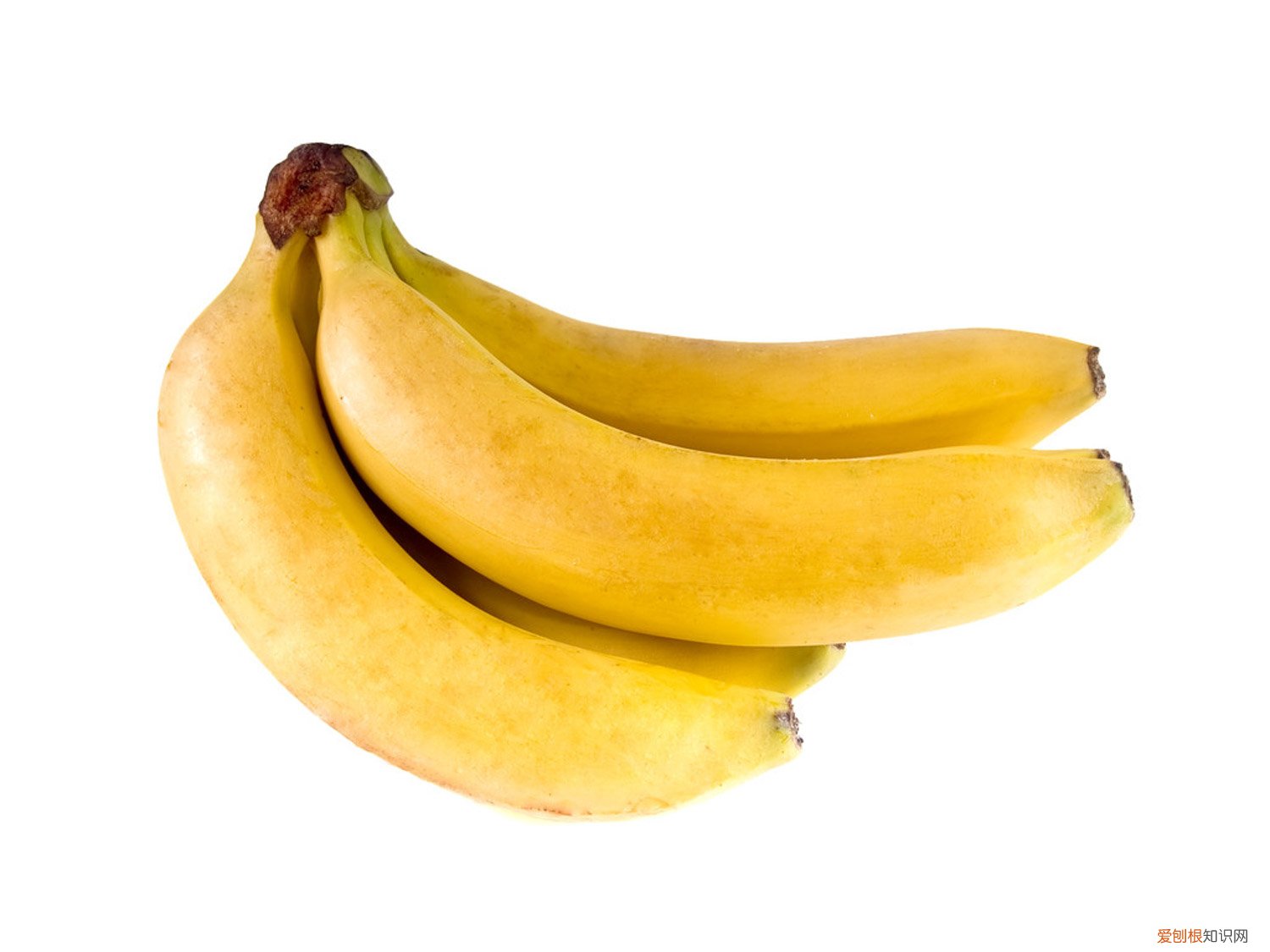 香蕉的养殖方法视频 香蕉的养殖方法