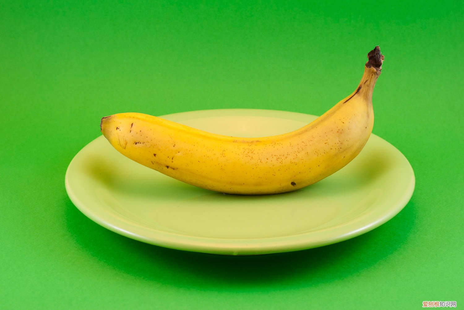 香蕉的养殖方法视频 香蕉的养殖方法