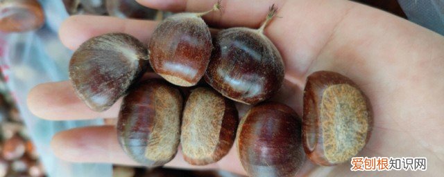 新鲜板栗怎么存放 新鲜板栗如何存放最佳