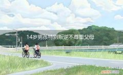 14岁男孩严重叛逆 14岁男孩特别叛逆不尊重父母