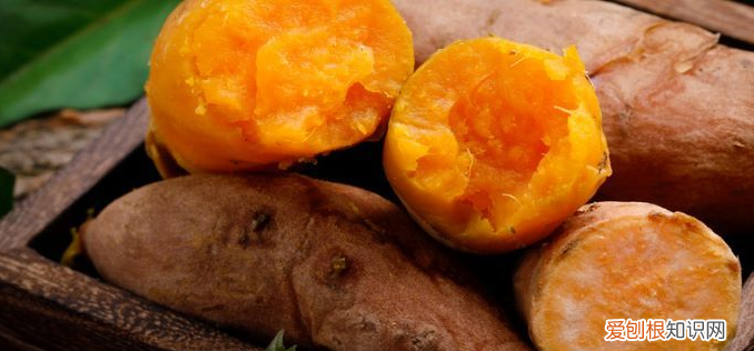 减肥食品排行榜 减肥食品排行榜前10