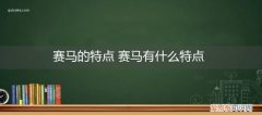 赛马的特点 赛马有什么特点