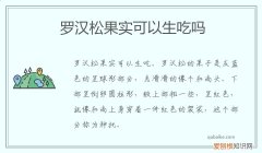 罗汉松果可以食用吗 罗汉松果实可以生吃吗