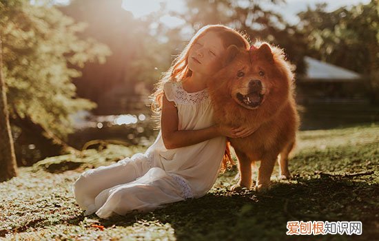 狗狗内外寄生虫名字及图片 这些狗狗健康杀手需警惕