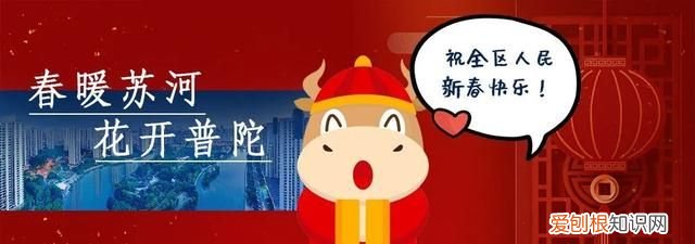 为什么高铁轨道下面有很多石子