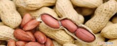 花生是不是坚果中蛋白质最高 花生是不是坚果