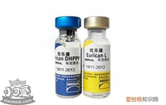 狗狗疫苗品牌 狗狗疫苗可以自己打吗