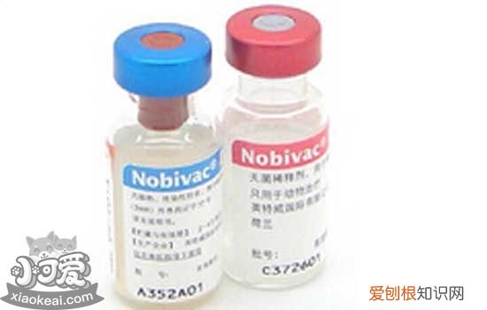 狗狗疫苗品牌 狗狗疫苗可以自己打吗