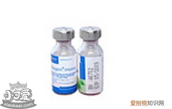 狗狗疫苗品牌 狗狗疫苗可以自己打吗