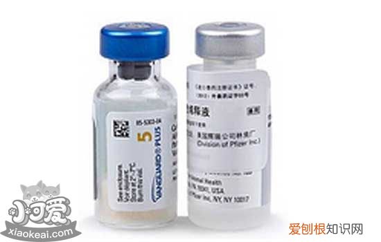 狗狗疫苗品牌 狗狗疫苗可以自己打吗